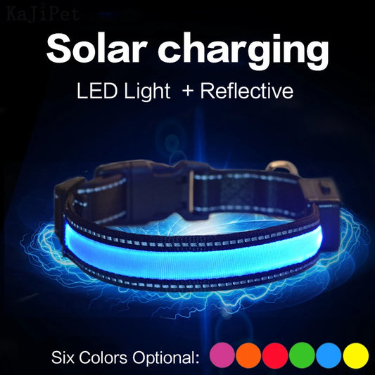 Solar Charging Led Dog Collar USB Rechargeable Night Safety Collar Perro Led Usb Adjustable Pet Led Dog Collar Light Usb Glowing